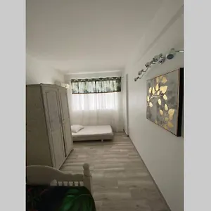 Bel Lumineux Appartement